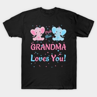 Grandma Gender Reveal Elephant Pink Or Blue Matching Family T-Shirt